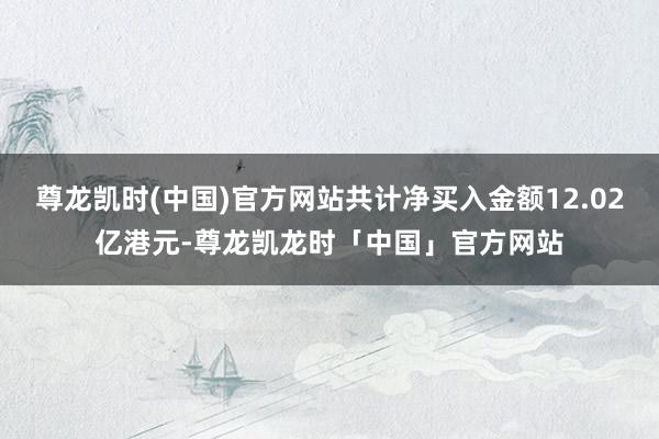 尊龙凯时(中国)官方网站共计净买入金额12.02亿港元-尊龙凯龙时「中国」官方网站