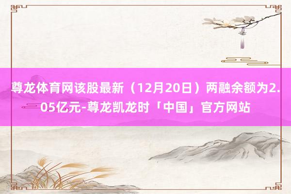 尊龙体育网该股最新(12月20日)两融余额为2.05亿元-尊龙凯龙时「中国」官方网站