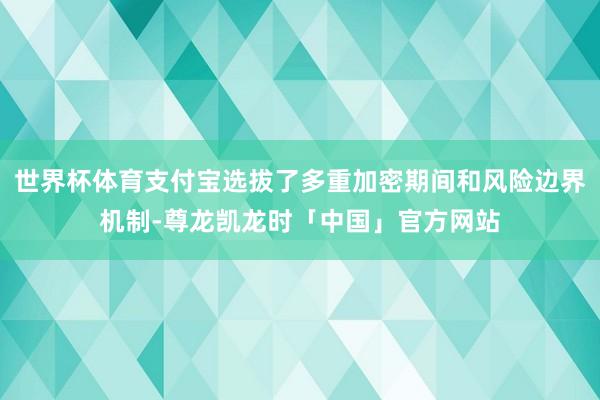 世界杯体育支付宝选拔了多重加密期间和风险边界机制-尊龙凯龙时「中国」官方网站