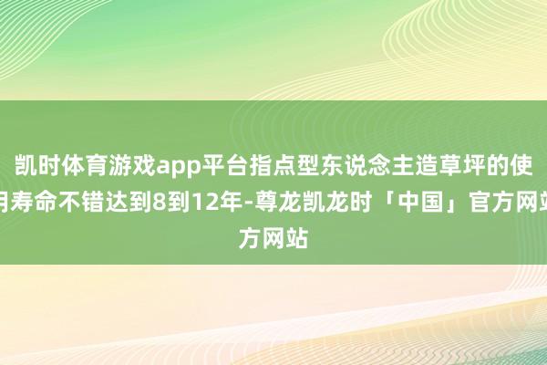 凯时体育游戏app平台指点型东说念主造草坪的使用寿命不错达到8到12年-尊龙凯龙时「中国」官方网站