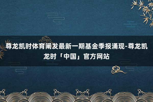 尊龙凯时体育阐发最新一期基金季报涌现-尊龙凯龙时「中国」官方网站