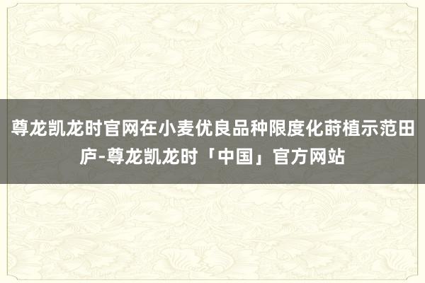 尊龙凯龙时官网在小麦优良品种限度化莳植示范田庐-尊龙凯龙时「中国」官方网站