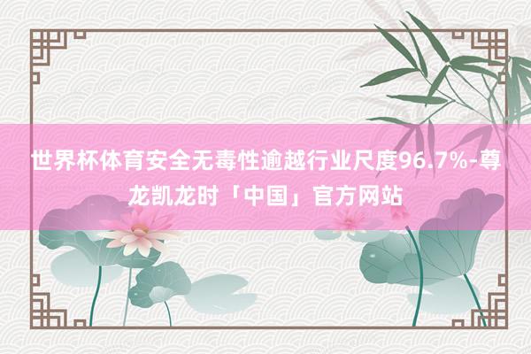 世界杯体育安全无毒性逾越行业尺度96.7%-尊龙凯龙时「中国」官方网站