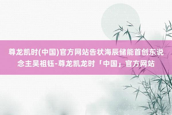 尊龙凯时(中国)官方网站告状海辰储能首创东说念主吴祖钰-尊龙凯龙时「中国」官方网站