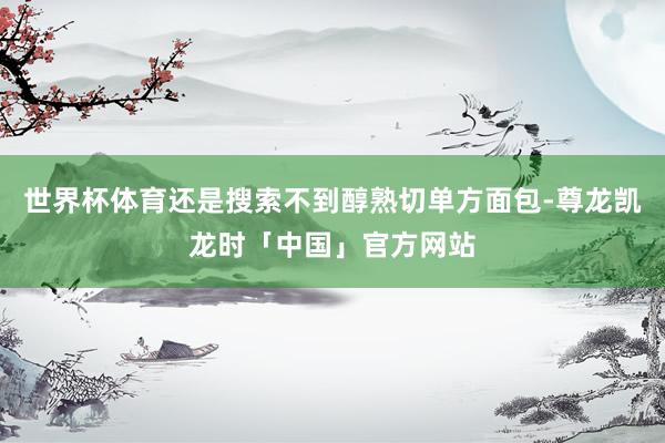 世界杯体育还是搜索不到醇熟切单方面包-尊龙凯龙时「中国」官方网站