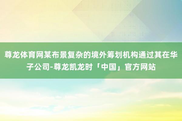 尊龙体育网某布景复杂的境外筹划机构通过其在华子公司-尊龙凯龙时「中国」官方网站