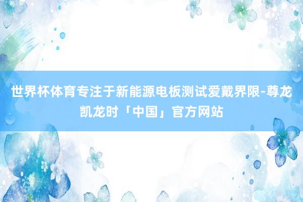 世界杯体育专注于新能源电板测试爱戴界限-尊龙凯龙时「中国」官方网站