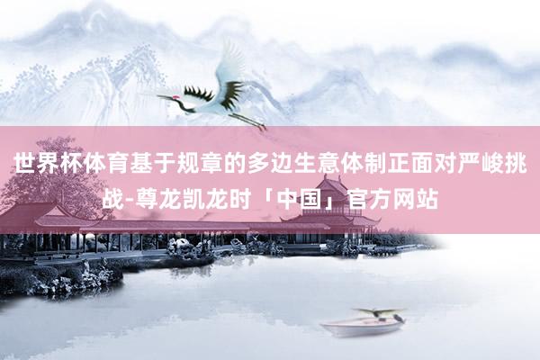 世界杯体育基于规章的多边生意体制正面对严峻挑战-尊龙凯龙时「中国」官方网站