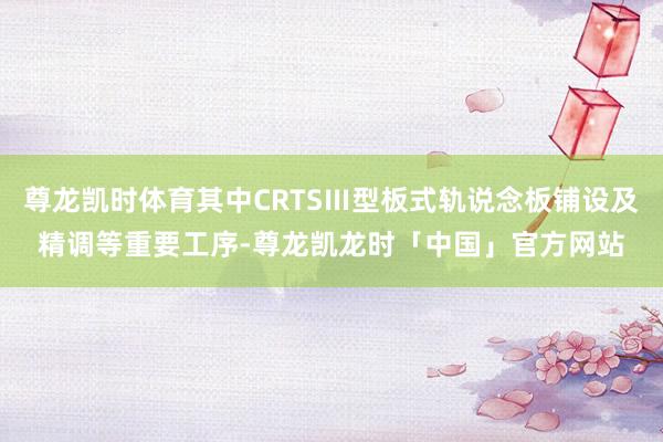 尊龙凯时体育其中CRTSⅢ型板式轨说念板铺设及精调等重要工序-尊龙凯龙时「中国」官方网站