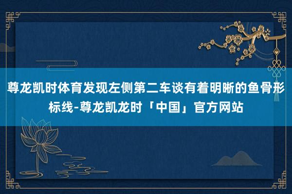 尊龙凯时体育发现左侧第二车谈有着明晰的鱼骨形标线-尊龙凯龙时「中国」官方网站